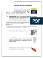 Receptores sensoriales y sus funciones