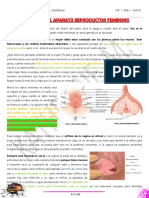 Anatomia Del Aparato Reproductor Femenino - Decrypted