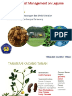 3. Kuliah Kacang Tanah Dan Ipm. NEW 2018