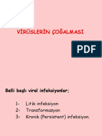 Viroloji 3. VİRÜSLERİN ÇOĞALMASI