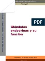 Función de Glándulas Endocrinas