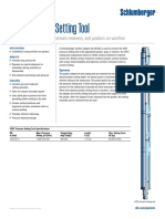 CPST Pressure Setting Tool PDF