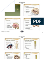 Neuroanatomía 03 Sistema Nervioso Meninges 2018