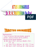 Tract Urinarius.ppt