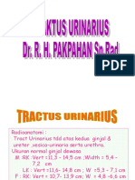 Tract Urinarius.ppt