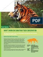WWF Work On Sumatran Tiger Conservation
