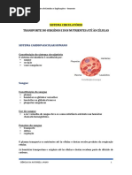 Sistema Circulatório e Urinario Resumos