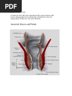 Seton Techniques for Anal Fistulas | PDF | Gastroenterology