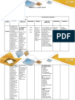 Paso 2 - Apéndice 1 - Cuadro Matriz 