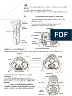 CURS 01-Anatomie Si Embriologie