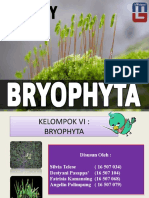 Briiophita