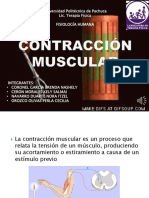 Contracción Muscular Equipo 6
