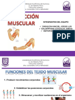 Contracción Muscular