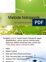 5 Metode Hidroponik