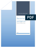 Bacterias Patógenas: Jessica Enríquez Farías