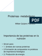 Metabolismo proteina