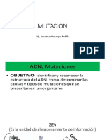  Mutacion