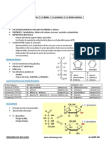 BIOLOGÍA Resumen Cap. 3. Glúcidos