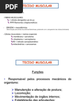 Aula 8-Tecido Muscular