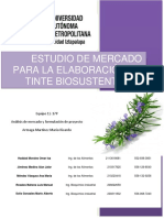 Estudio de Mercado para La Elaboración de Tinte Biosustentable