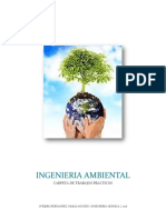 Caratula Ambiental