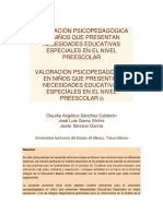 Valoración Psicopedagógica en Niños Que Presentan Necesidades Educativas Especiales en El Nivel Preescolar