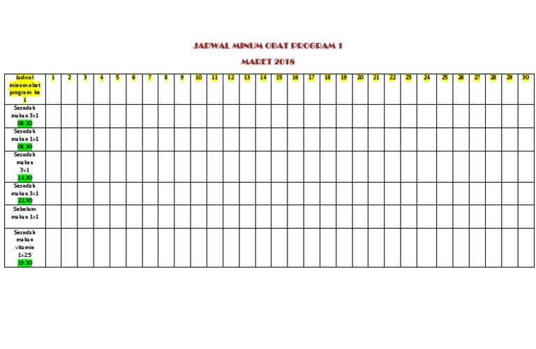Jadwal Minum Obat Program 1 | PDF