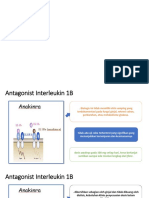 Antagonis Interleukin 1B