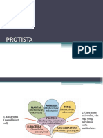 Presentasi Protista Fix