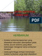 Pembuatan Material Tumbuhan