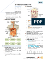 Sistem Pencernaan