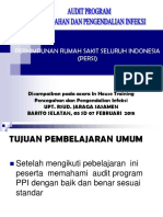 Audit Program Ppi New