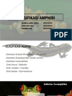 Klasifikasi Amphibi