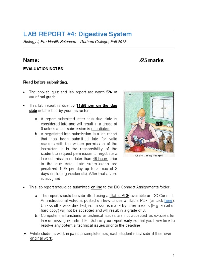 Biology Lab Report Guide | PDF | Digestion | Gastrointestinal Tract