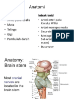 Anatomi: Ekstrakranial Intrakranial