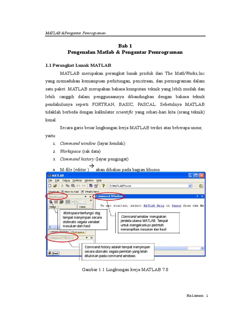Panduan Dasar MATLAB untuk Pemula | PDF | Metode & Bahan Ajar