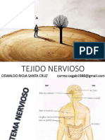 Histología Sist Nervioso