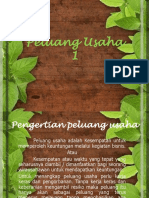 Peluang Usaha 1