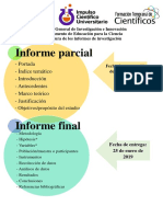 Lineamientos Informe de investigación.pdf