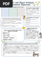 Primary 3 HSC Tiger