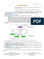 11-metabolismo-2-bach.pdf