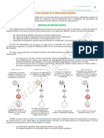 12 Base Molecular Herencia 2 Bach PDF