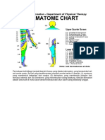 area dermatome.docx