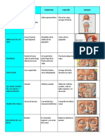 Anatomia Osteomuscular
