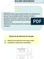 2-metabolismo-1.pdf