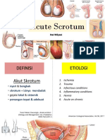 Acute Scrotum