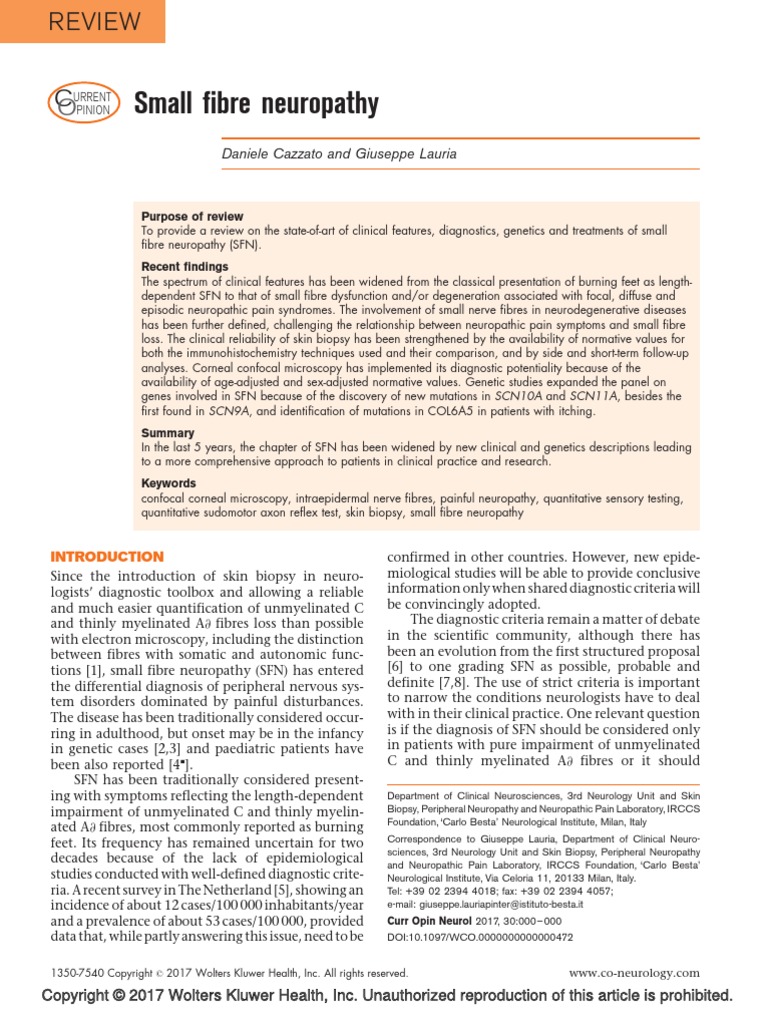 Small Fibre Neuropathy Review PDF Peripheral Neuropathy Medical Diagnosis