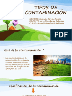 Tipos de Contaminación