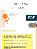 Membrana Plasmatica 2018