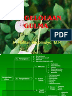 Pengelolaan Gulma